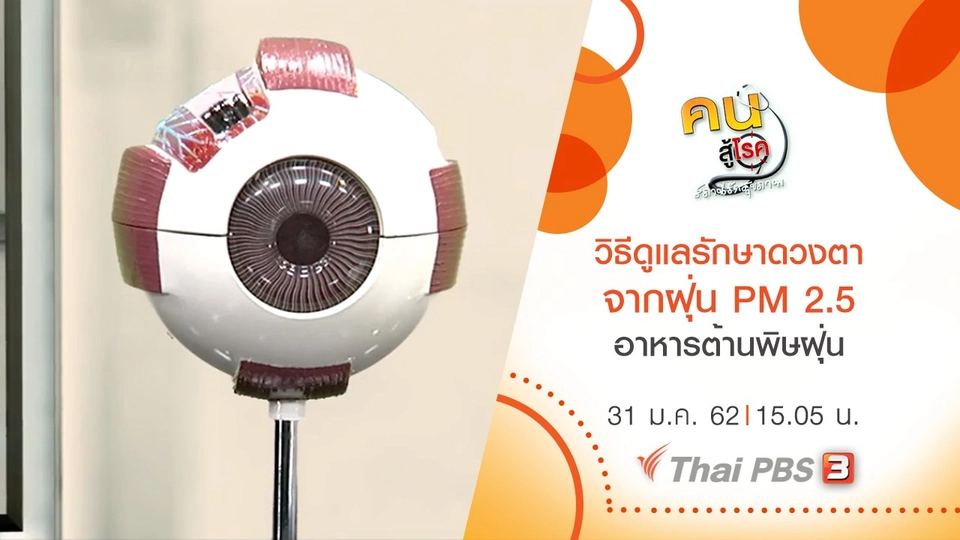 วิธีการดูแลรักษาดวงตาจากฝุ่น PM 2.5, อาหารต้านพิษฝุ่น