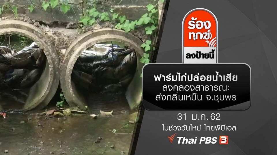 ฟาร์มไก่ปล่อยน้ำเสียลงคลองสาธารณะ ส่งกลิ่นเหม็น จ.ชุมพร