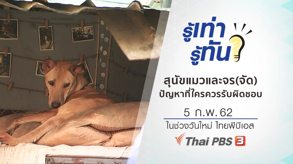 สุนัขแมวและจร(จัด) ปัญหาที่ใครควรรับผิดชอบ