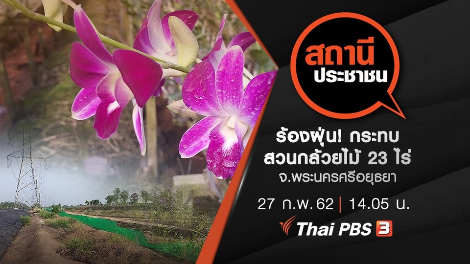 ร้องฝุ่น! กระทบสวนกล้วยไม้ 23 ไร่ จ.พระนครศรีอยุธยา