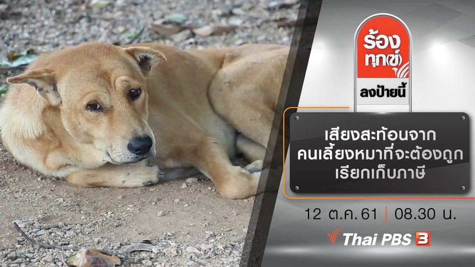 เสียงสะท้อนจากคนเลี้ยงหมาที่จะต้องถูกเรียกเก็บภาษี