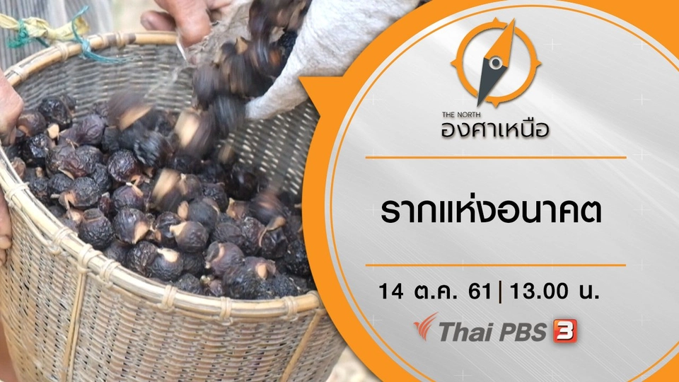 รากแห่งอนาคต