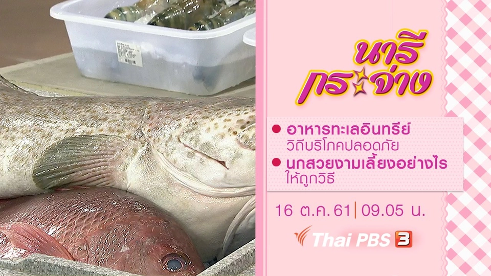 อาหารทะเลอินทรีย์ วิถีบริโภคปลอดภัย, นกสวยงามเลี้ยงอย่างไรให้ถูกวิธี