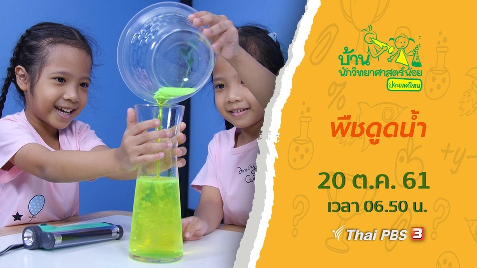 พืชดูดน้ำ