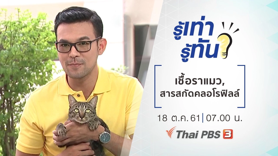 เชื้อราแมว, สารสกัดคลอโรฟิลล์