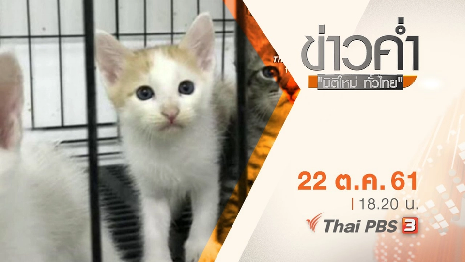 ประเด็นข่าว ( 22 ต.ค. 61)