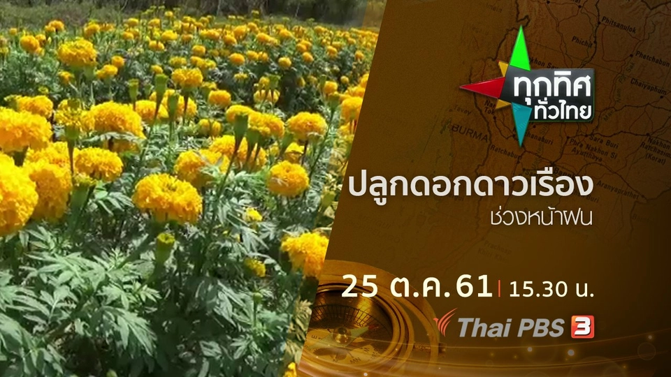 ประเด็นข่าว ( 25 ต.ค. 61)