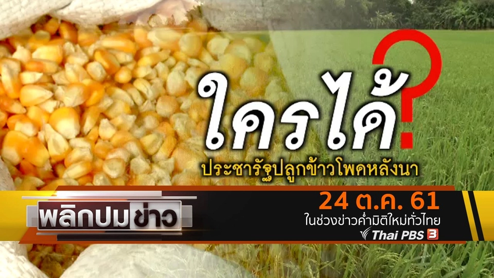 ใครได้ ? ประชารัฐปลูกข้าวโพดหลังนา