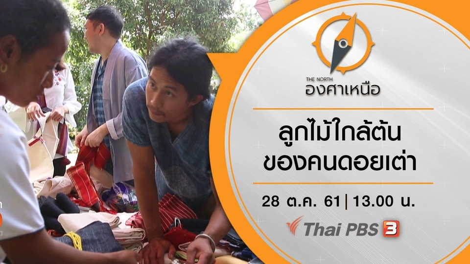 ลูกไม้ใกล้ต้น ของคนดอยเต่า