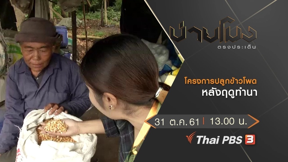 ประเด็นข่าว (31 ต.ค. 61)