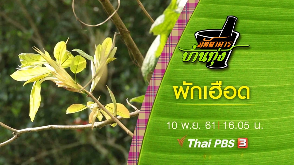 ผักเฮือด