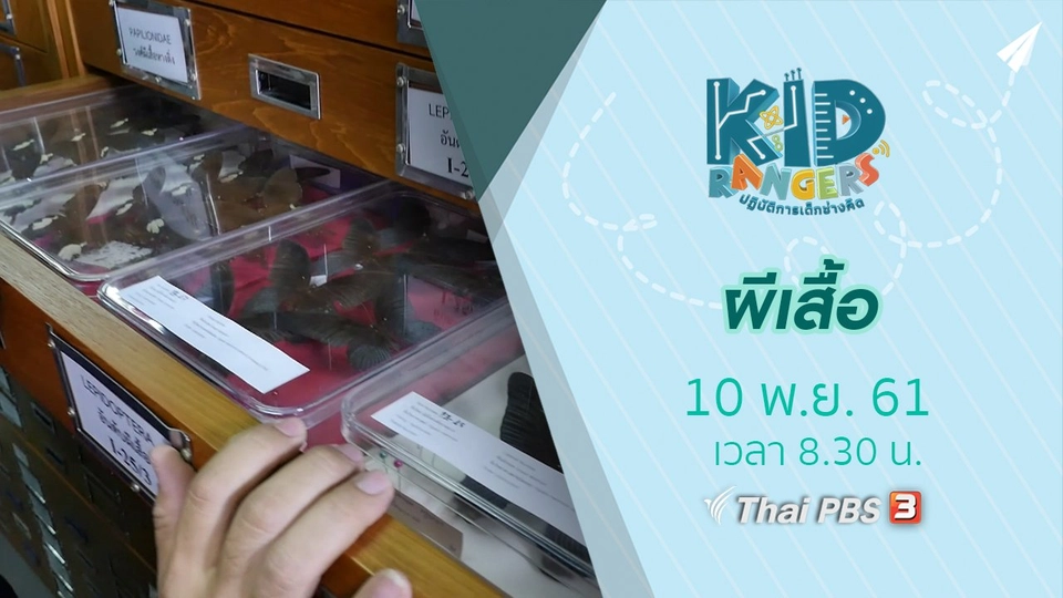 ผีเสื้อ