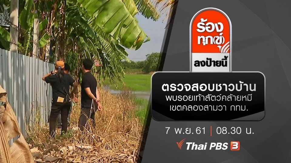 ตรวจสอบชาวบ้านพบรอยเท้าสัตว์คล้ายหมี เขตคลองสามวา กทม.