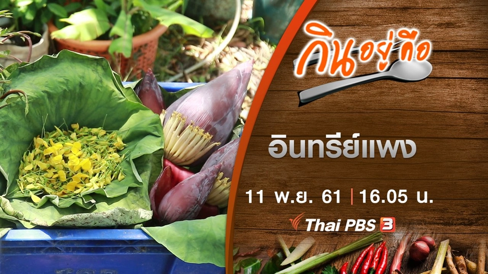 อินทรีย์แพง