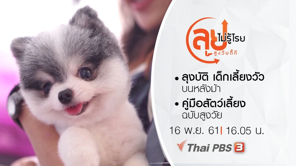 ลุงบัติ เด็กเลี้ยงวัวบนหลังม้า/ คู่มือสัตว์เลี้ยงฉบับสูงวัย