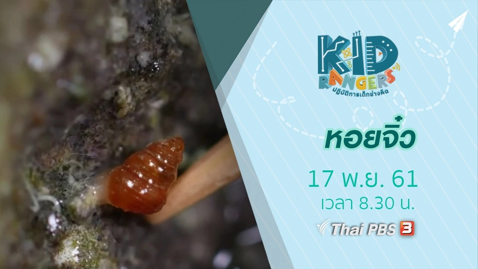 หอยจิ๋ว