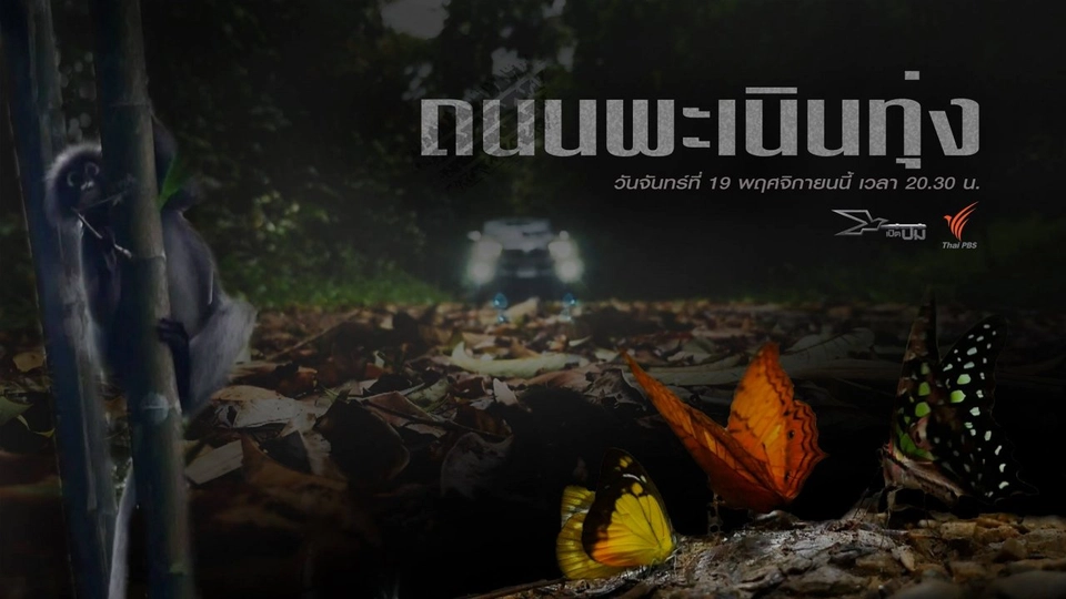 ถนนพะเนินทุ่ง