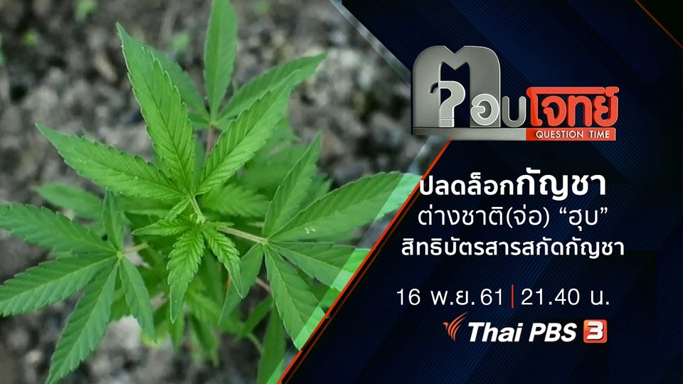 ​ปลดล็อก “กัญชา” ต่างชาติ(จ่อ) “ฮุบ” สิทธิบัตร “สารสกัดกัญชา” ...?