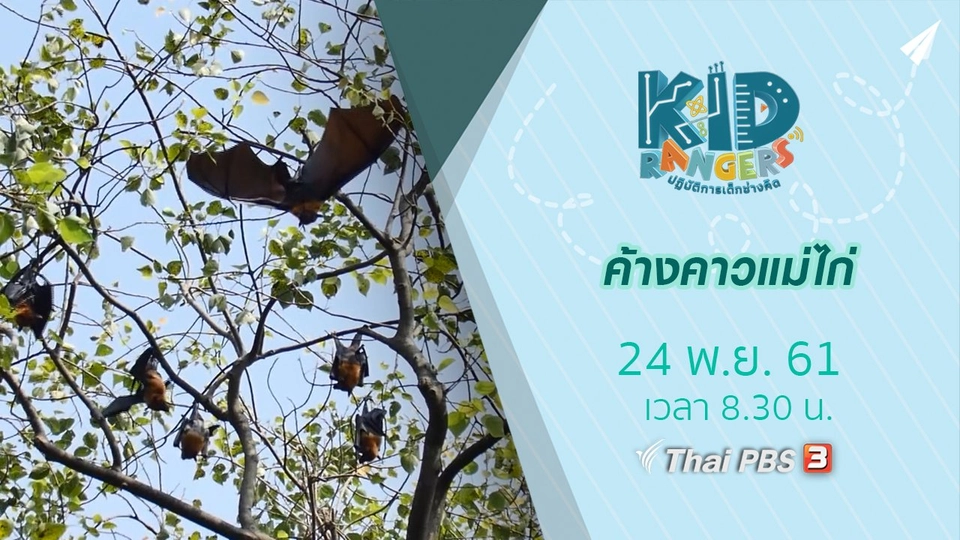 ค้างคาวแม่ไก่