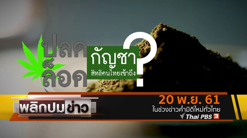 ปลดล็อคกัญชา สิทธิคนไทยเข้าถึง