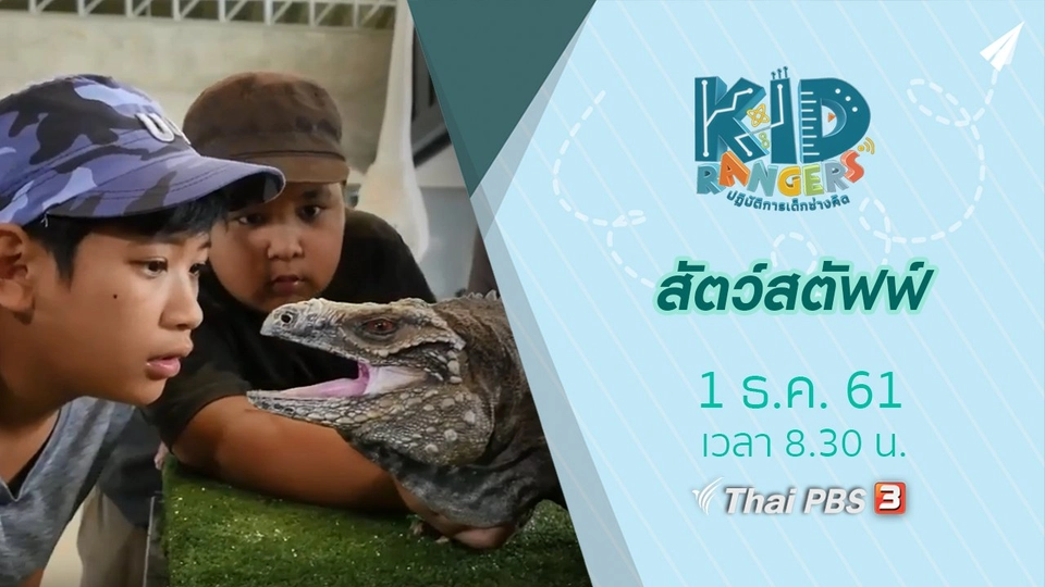 สัตว์สตัฟฟ์