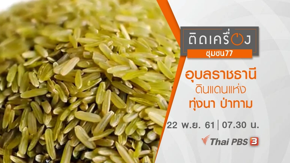 อุบลราชธานี ดินแดนแห่งทุ่งนา ป่าทาม