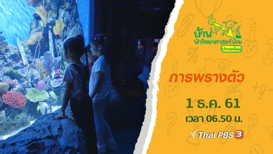 การพรางตัว