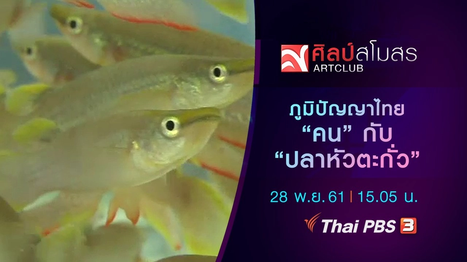 ​ภูมิปัญญาไทย "คน" กับ "ปลาหัวตะกั่ว"