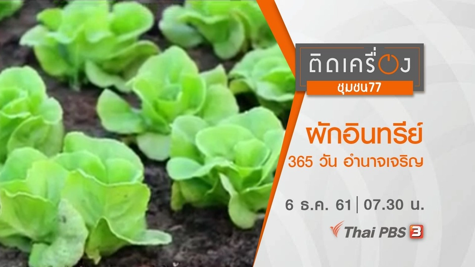 ​ผักอินทรีย์ 365 วัน อำนาจเจริญ