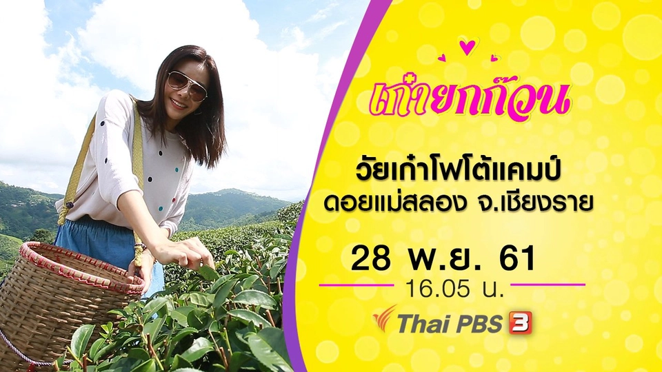 วัยเก๋าโฟโต้แคมป์ ดอยแม่สลอง จ.เชียงราย