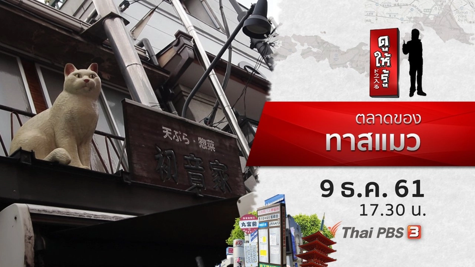 ตลาดของทาสแมว