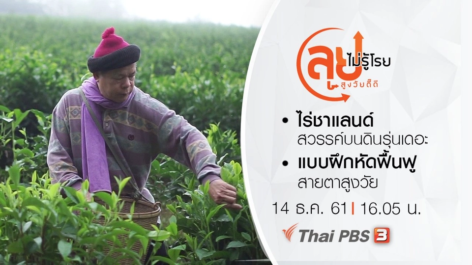 ไร่ชาแลนด์สวรรค์บนดินรุ่นเดอะ/ แบบฝึกหัดฟื้นฟูสายตาสูงวัย