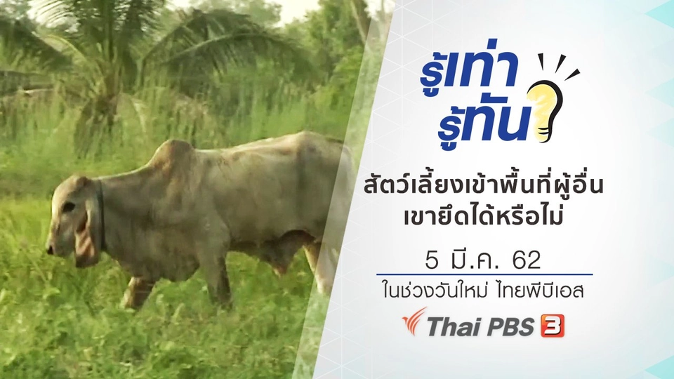 สัตว์เลี้ยงเข้าพื้นที่ผู้อื่น เขายึดได้หรือไม่