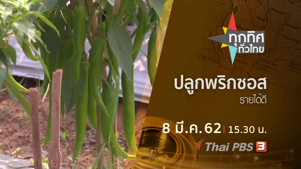 ประเด็นข่าว (8 มี.ค. 62)