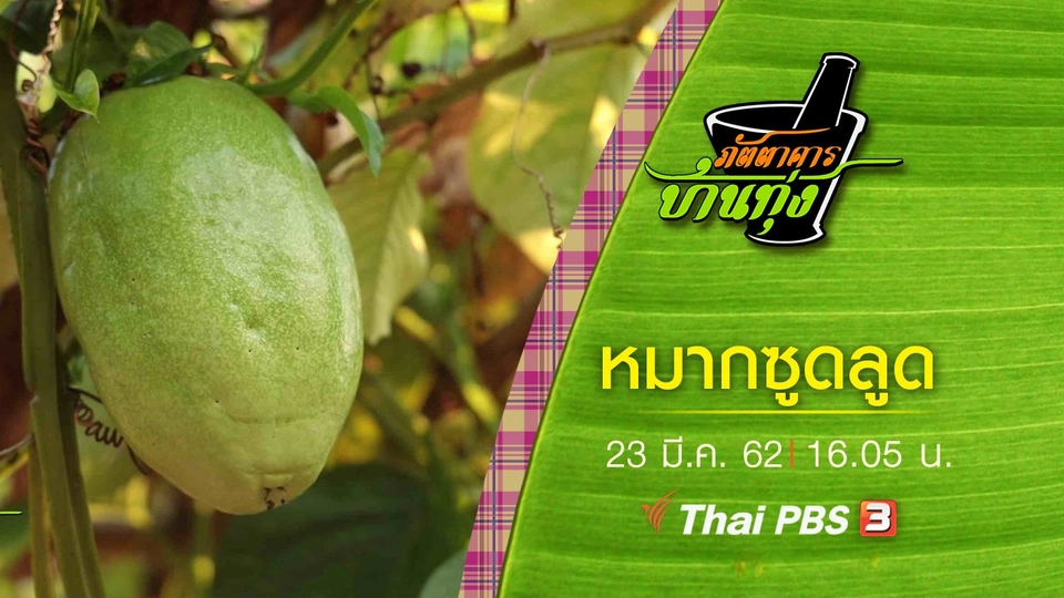 หมากซูดลูด