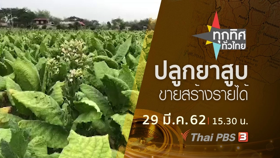 ประเด็นข่าว (29 มี.ค. 62)