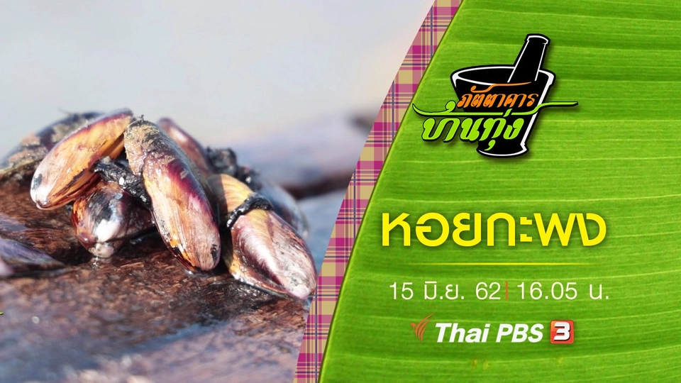 หอยกะพง