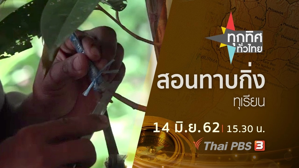 ประเด็นข่าว (14 มิ.ย. 62)
