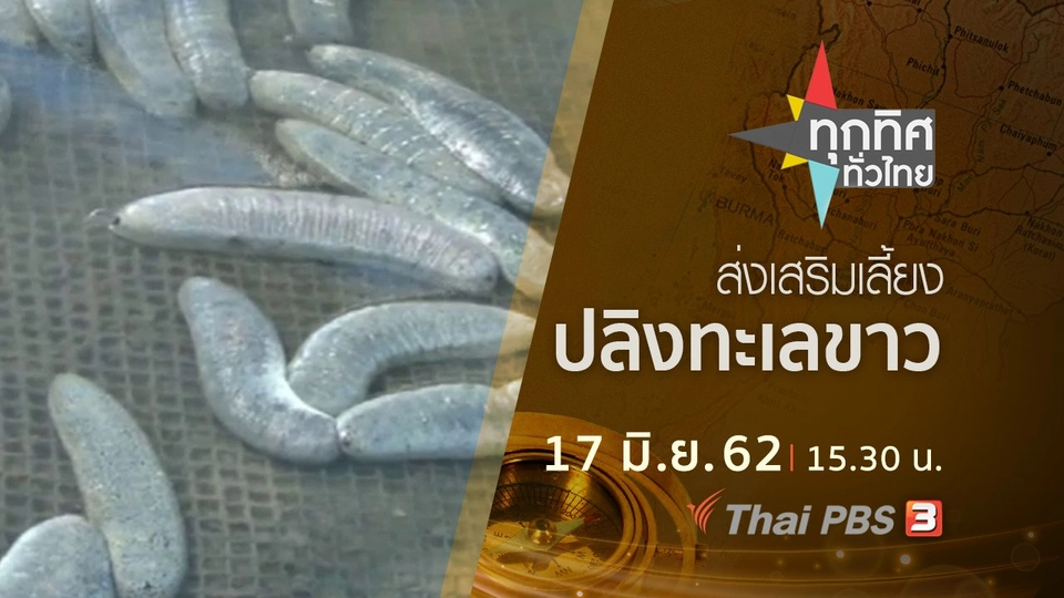 ประเด็นข่าว (17 มิ.ย. 62)