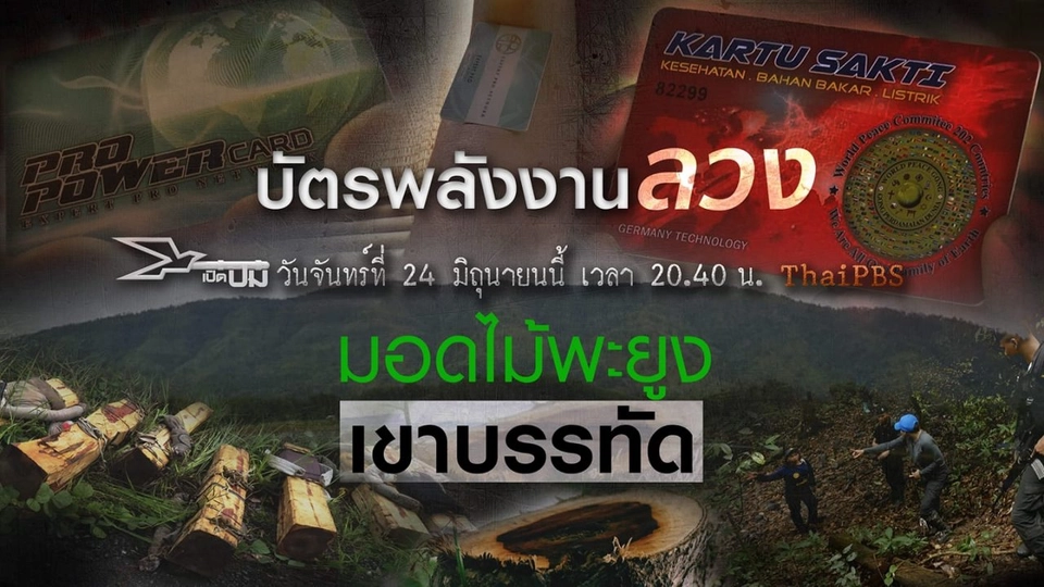 บัตรพลังงานลวง, มอดไม้พะยูงเขาบรรทัด