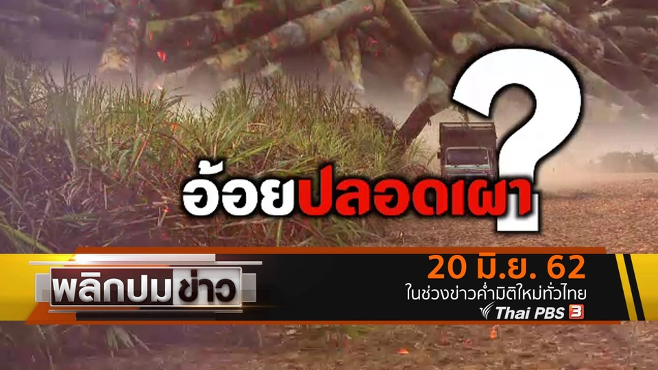 อ้อยปลอดเผา ?