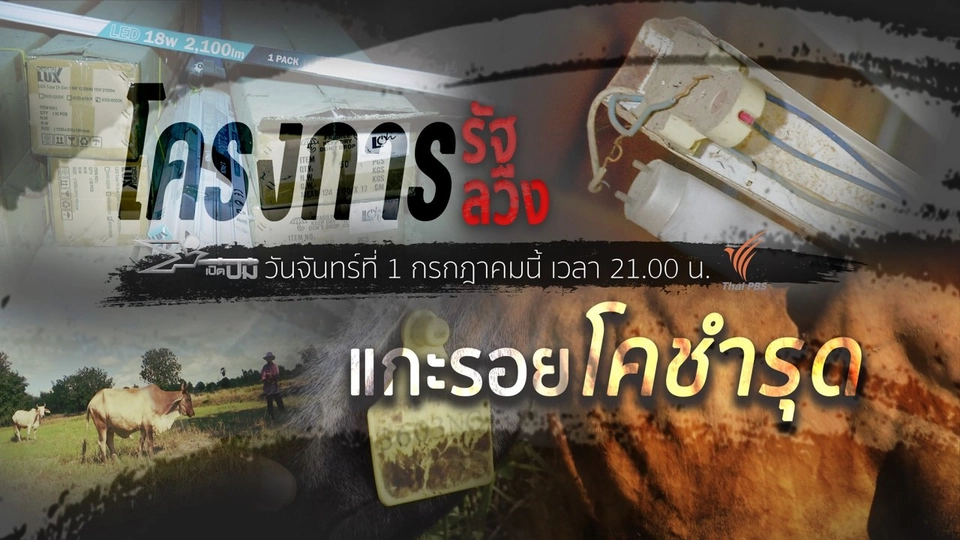 ​โครงการรัฐโครงการลวง, แกะรอยโคชำรุด