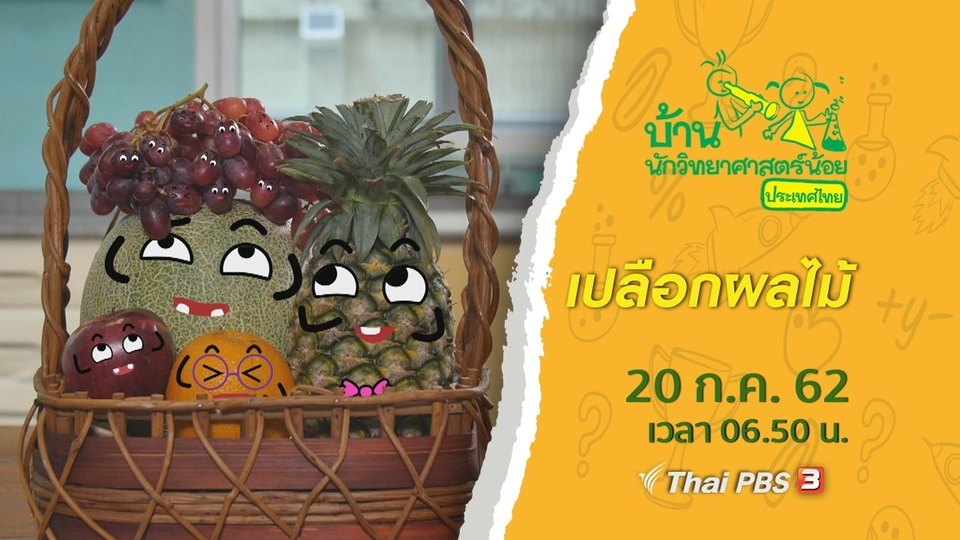 เปลือกผลไม้