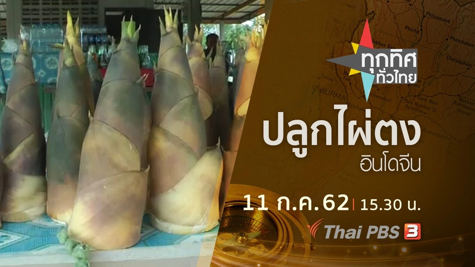 ประเด็นข่าว (11 ก.ค. 62)