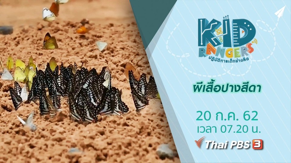 ผีเสื้อปางสีดา