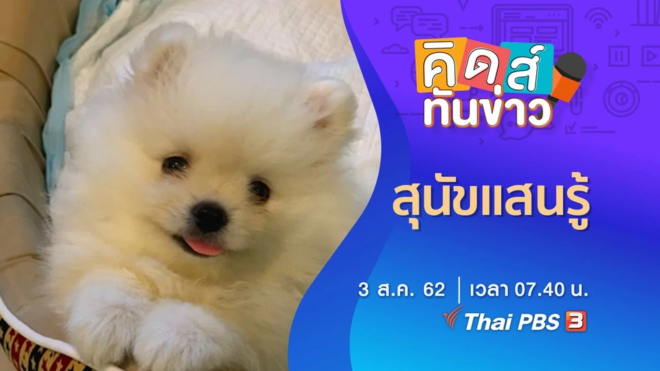 สุนัขแสนรู้