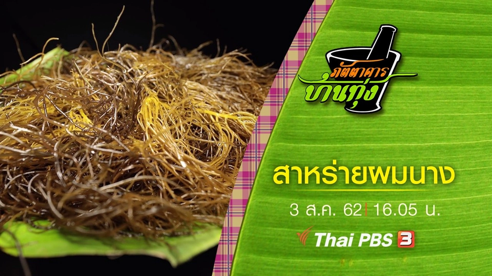 สาหร่ายผมนาง