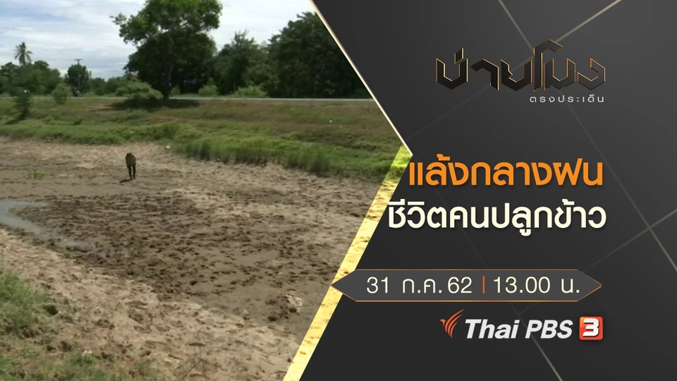 ประเด็นข่าว (31 ก.ค. 62)