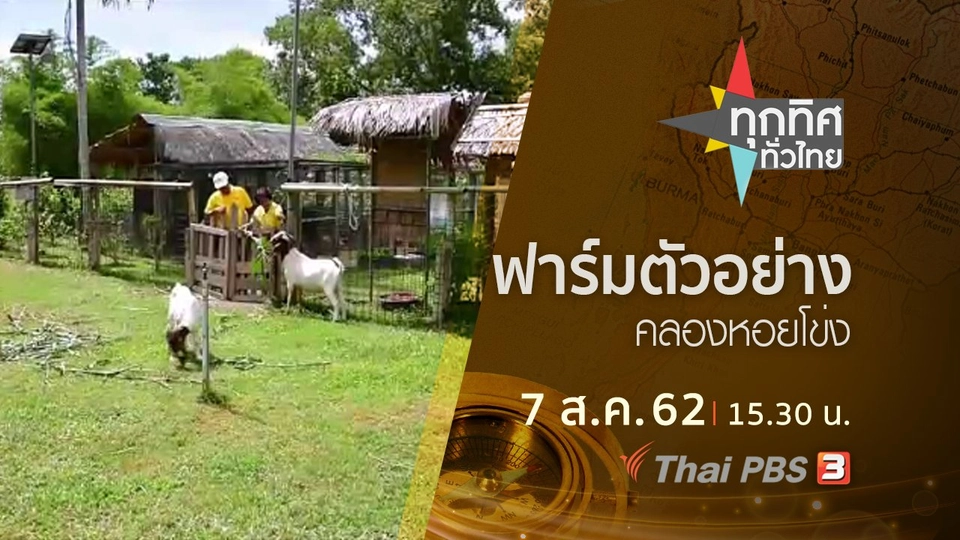 ประเด็นข่าว (7 ส.ค. 62)