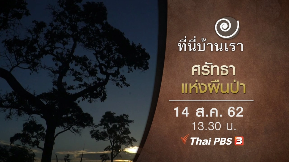 ศรัทธาแห่งผืนป่า